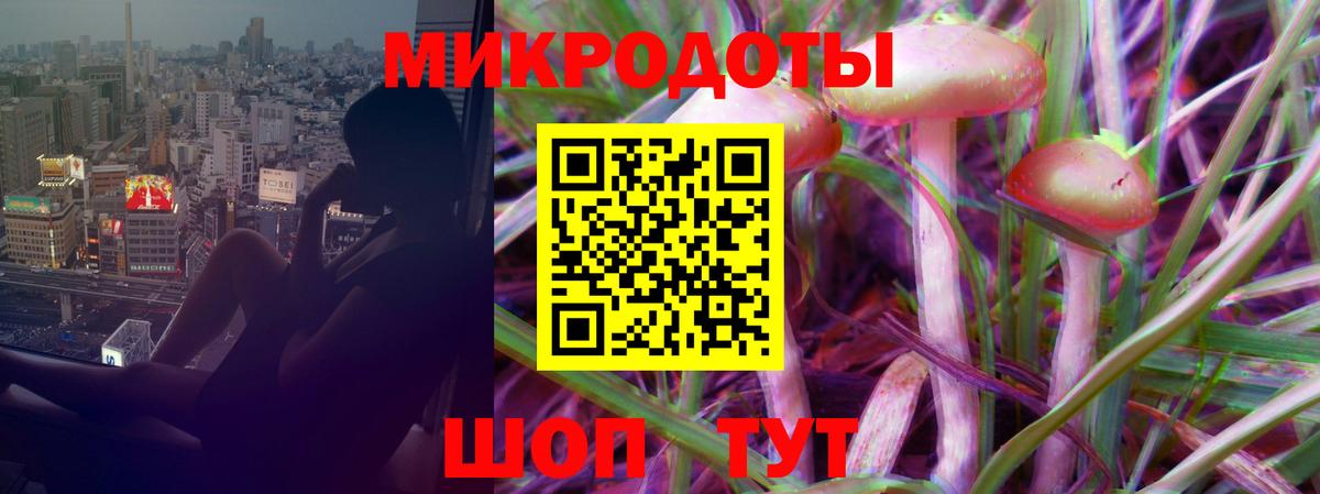 Махачкала  Псилоцибиновые грибы Magic Shrooms  Галлюциногенные грибы Magic Shrooms  Вход с VPN 